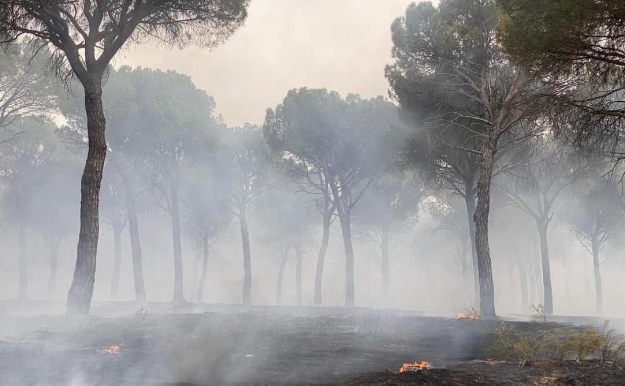 Incendio En La Provincia De Valladolid Un Rayo Calcina Tres Hect Reas